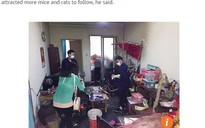 Ông lão 72 tuổi nuôi 200 con chuột trong nhà