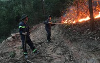 Cháy rừng đầu nguồn ở TP.Đà Nẵng, hơn 200 người dập lửa nhiều giờ