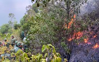 Đà Nẵng: Người dân thắp nhang tại miếu thờ dẫn đến cháy rừng diện rộng