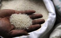 'Gạo nhựa' chưa xuất hiện tại Việt Nam