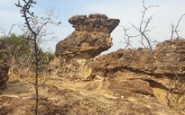 Độc đáo bãi đá cổ ở Ninh Thuận có tuổi thọ khoảng 18,5 triệu năm