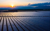 Ninh Thuận kiến nghị không cắt giảm công suất dự án năng lượng tái tạo