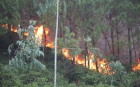 Cháy rừng đang lan nhanh ở Nghệ An