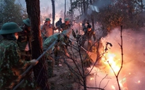 Triệu tập một phụ nữ ở Nghệ An đốt rác gây cháy rừng