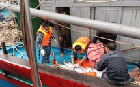 Nghệ An: Tàu cá bị tàu hàng đâm chìm trên biển, 1 ngư dân tử vong