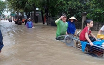 Nghệ An mưa lớn gần 700 ngôi nhà bị ngập