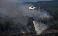 Ukraine: Cháy rừng tiến sát nhà máy điện hạt nhân Chernobyl