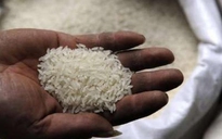 Nigeria: Phát hiện 2,5 tấn gạo giả bằng nhựa