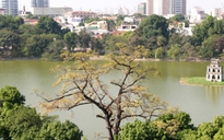 UNESCO công nhận Hà Nội là Thành phố sáng tạo