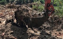 Điều tra Công ty TNHH Shing Mark Vina đổ, chôn, đốt chất thải công nghiệp trái phép