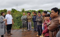 Chuyên gia Nhật Bản giúp nông dân Đà Lạt trồng hoa công nghệ cao