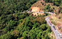 Dự án cao tốc Tân Phú - Bảo Lộc sẽ tác động đến 60 - 93 ha rừng