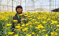 100 triệu cành hoa và hàng trăm tấn nông sản Lâm Đồng không tiêu thụ được