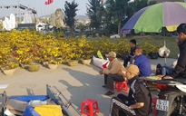 Chợ hoa xuân Hạ Long: Đào, mai ế ẩm vì nắng nóng