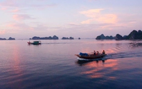 Quảng Ninh điều tra vụ hai vợ chồng ngư dân chết bất thường trên vịnh Bái Tử Long