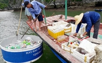 Kỳ quan vịnh Hạ Long nói không với rác thải nhựa