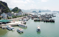 Quảng Ninh ứng phó bão số 1: Dừng cấp phép tàu tham quan vịnh Hạ Long