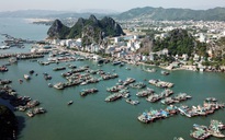 Quảng Ninh tổ chức hội thảo khoa học đề nghị xếp hạng Thương cảng Vân Đồn