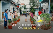 Người dân khu cách ly Covid-19 thi trồng táo, quên căng thẳng ngày dịch