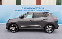 Mỗi xe ô tô điện VinFast bán ra sẽ có một cây rừng được trồng