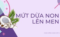 Cùng sống xanh số 14: Trải nghiệm làm mứt dừa non lên men giúp dễ tiêu hóa