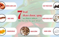 7 thảo dược quý tự nhiên giúp bảo vệ và giảm các triệu chứng bệnh về gan