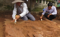 Ra mắt nhóm nghiên cứu tìm kiếm lăng mộ vua Quang Trung