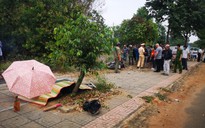 Bà Rịa - Vũng Tàu: Một người nước ngoài tông vào gốc cây, tử vong tại chỗ