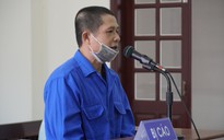 Cưa trộm hàng chục thân cây bông giấy ở Vũng Tàu, lãnh 7 năm tù giam
