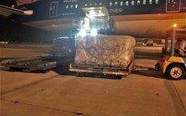 Gần 10 tấn vải thiều Bắc Giang đi 'siêu máy bay' sang Nhật