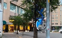 Xe đạp công cộng tại TP.HCM bị... treo ngược trên cành cây