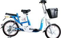 Xe đạp điện nước ngoài giả xuất xứ Việt Nam xuất sang châu Âu