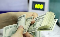 Giá USD hôm nay 1.11.2020: Tăng 0,07% sau một tháng