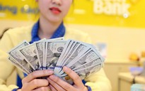 Giá USD hôm nay 19.6.2022: Tăng mạnh suốt tuần