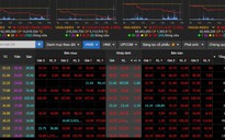 Nhà đầu tư ngỡ ngàng khi VN-Index 'bốc hơi' gần 40 điểm