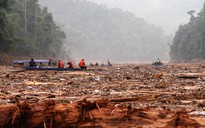 Thảm họa sạt lở ở Trà Leng: Rẽ gỗ tìm người