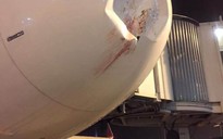 Máy bay của Vietjet bị móp đầu do va phải chim