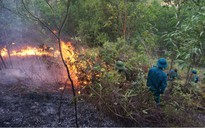 Hỏa hoạn thiêu rụi khoảng 40 ha rừng ở Thanh Hóa