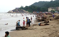 Bãi biển Sầm Sơn ngập rác thải, gốc cây nặng hàng tấn