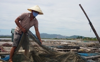 Sông Lạch Bạng bị ‘bức tử’: Phạt hành chính 2 công ty xả thải trái phép