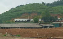 Ninh Bình: Một chủ trang trại nuôi lợn bị phạt 200 triệu đồng