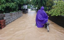 Ninh Bình: Hàng trăm hộ dân trắng đêm chạy lụt