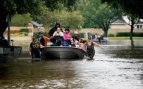 Houston giới nghiêm để ngăn cướp bóc sau bão Harvey