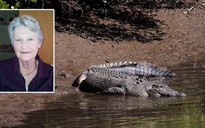 Bắt được cá sấu ăn thịt người ở Úc