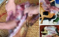 Người Việt bị tố bán thịt chó, mèo ở Malaysia