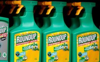 Thuốc diệt cỏ chứa glyphosate tăng 41% nguy cơ ung thư