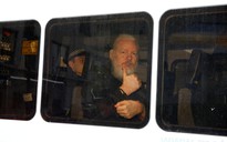 Nhà sáng lập WikiLeaks ‘biến sứ quán Ecuador thành sở chỉ huy'