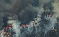 Tổng thống Brazil đổi ý, nhận viện trợ đối phó cháy rừng Amazon