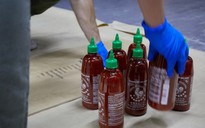 Tương ớt Sriracha giấu ma túy đá trị giá hàng ngàn tỉ đồng