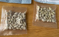 Mỹ điều tra các gói hạt giống bí ẩn nghi gửi từ Trung Quốc